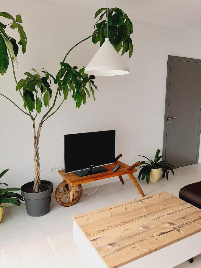 Green Bee Apartment Lesce  Luaran gambar